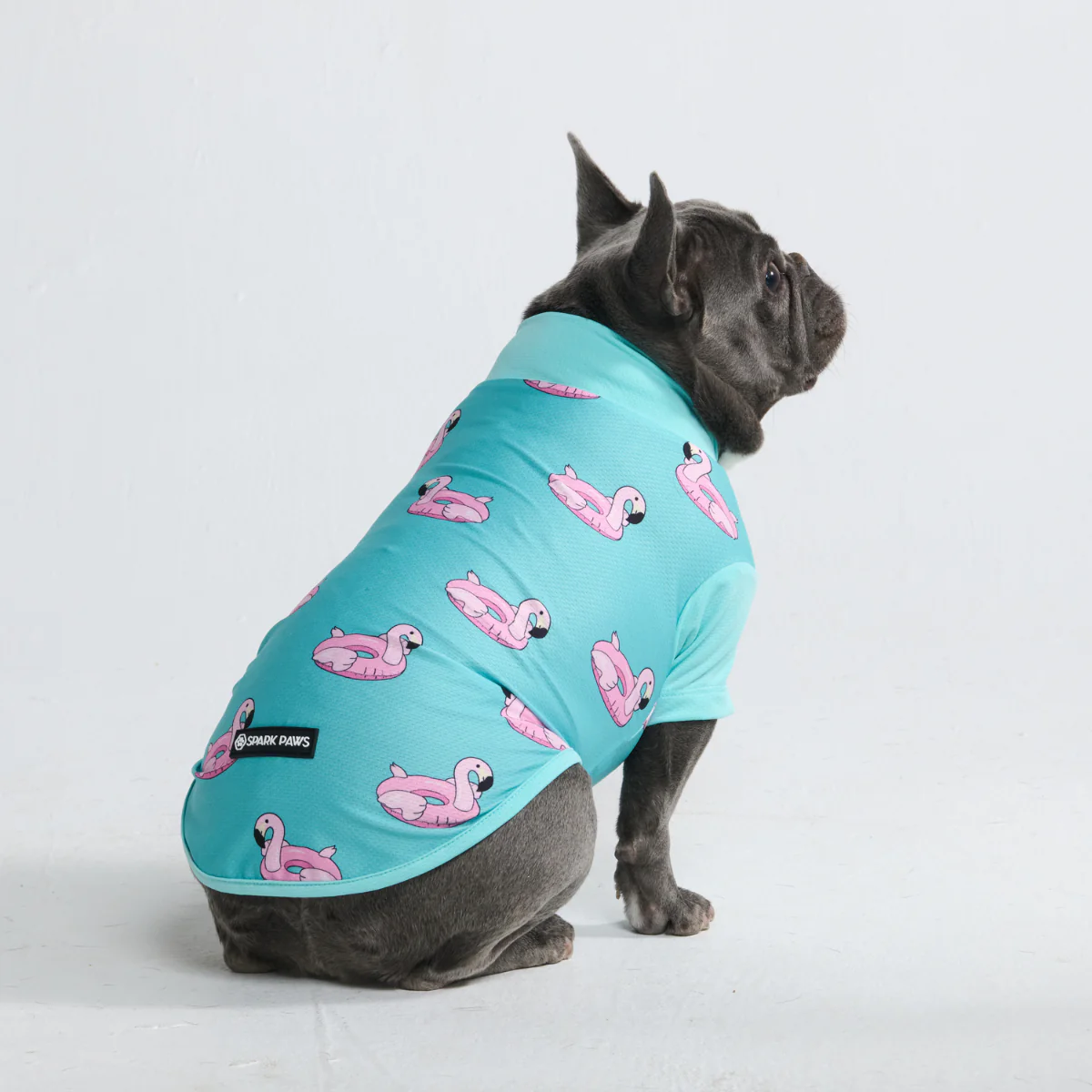 Sunblock Dog T-Shirt - Prints - Image 10
