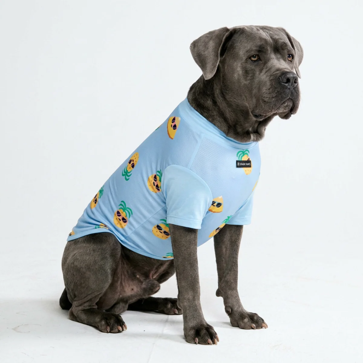 Sunblock Dog T-Shirt - Prints - Image 20