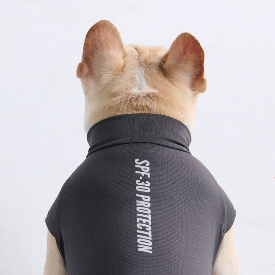 Sunblock Dog T-Shirts - Image 40