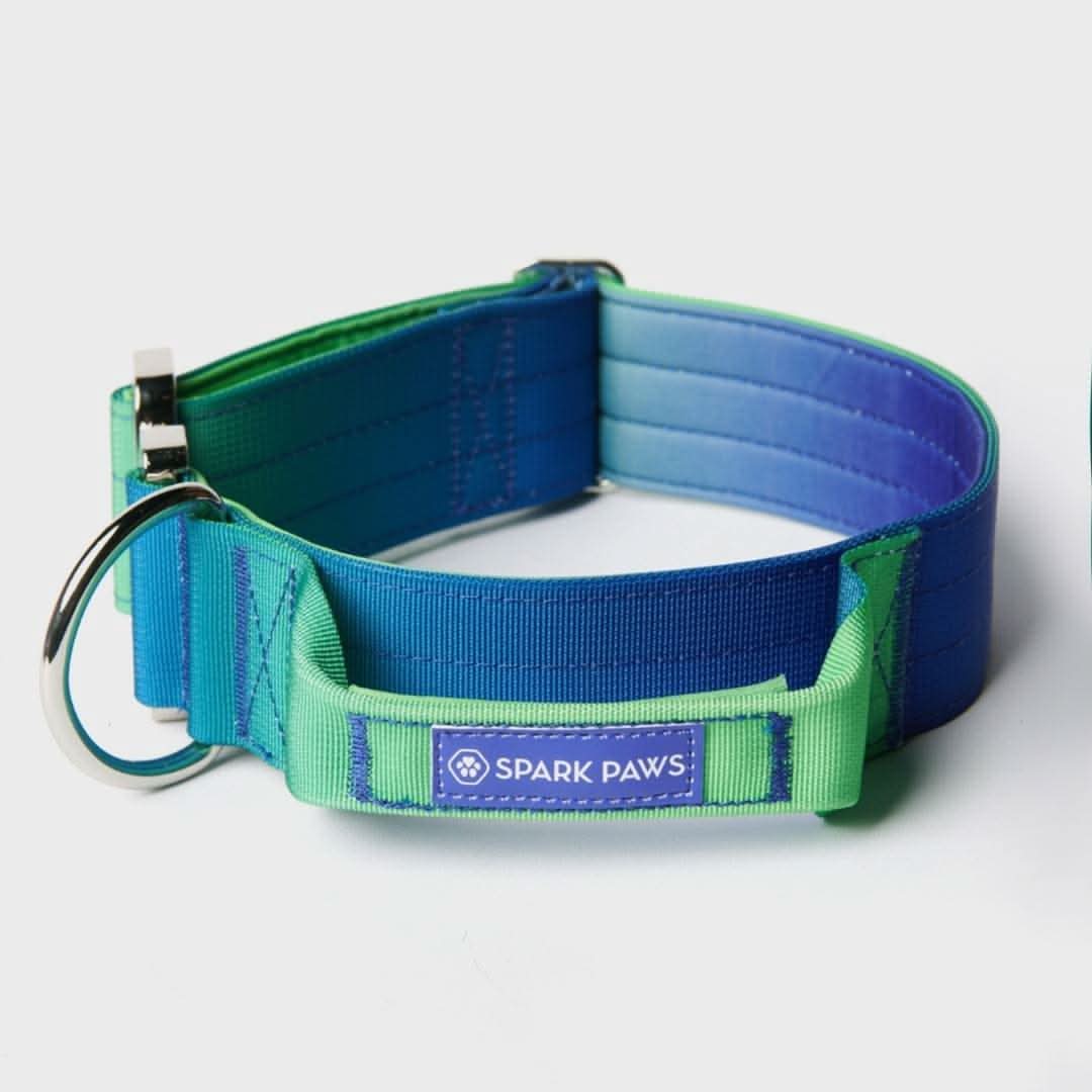Comfort Control Dog Collars - Image 26