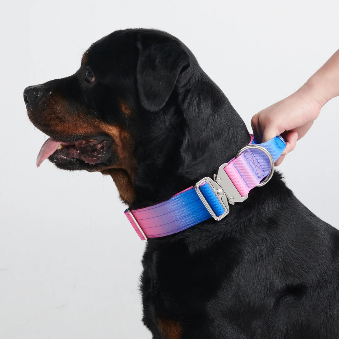 Comfort Control Dog Collars - Image 59