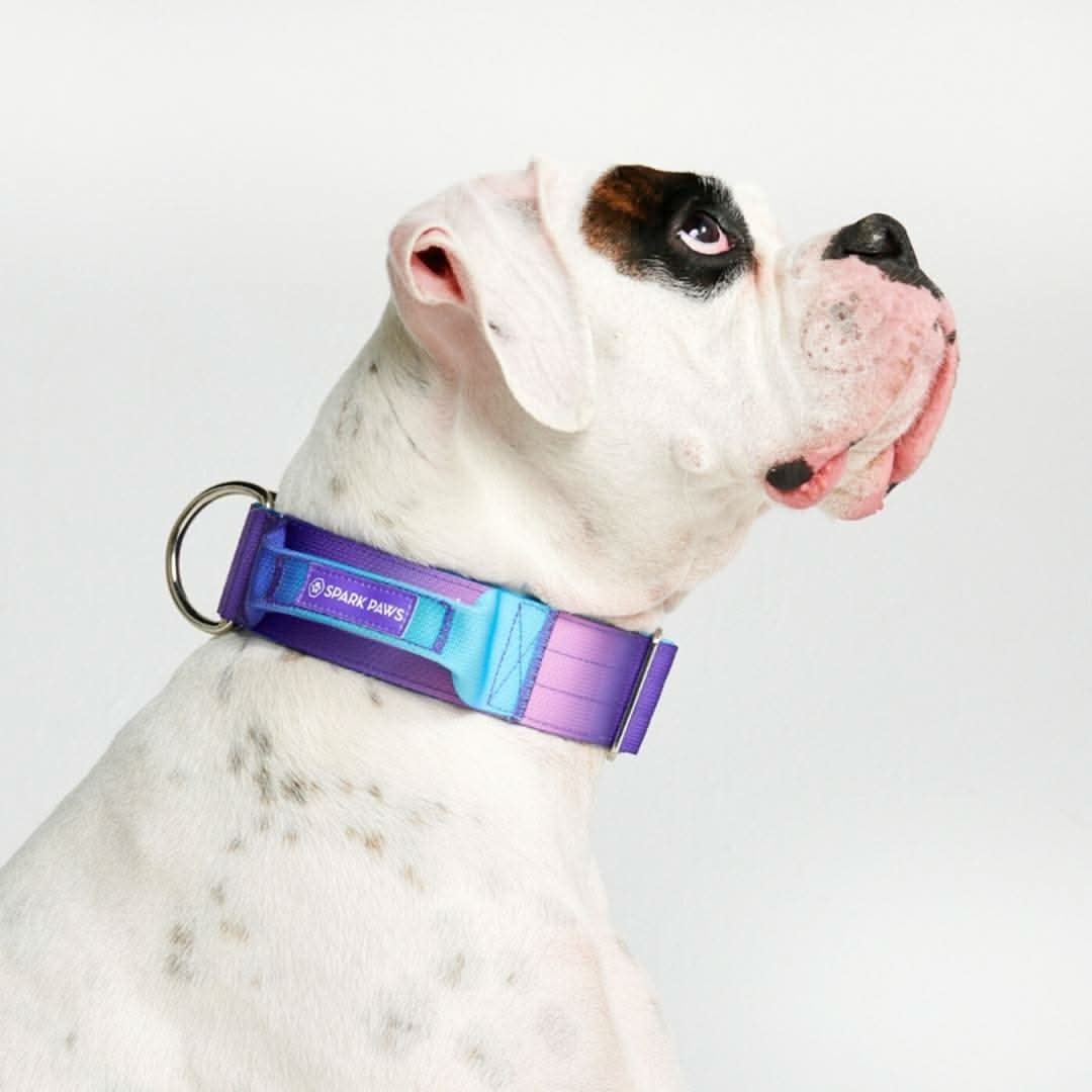 Comfort Control Dog Collars - Image 6