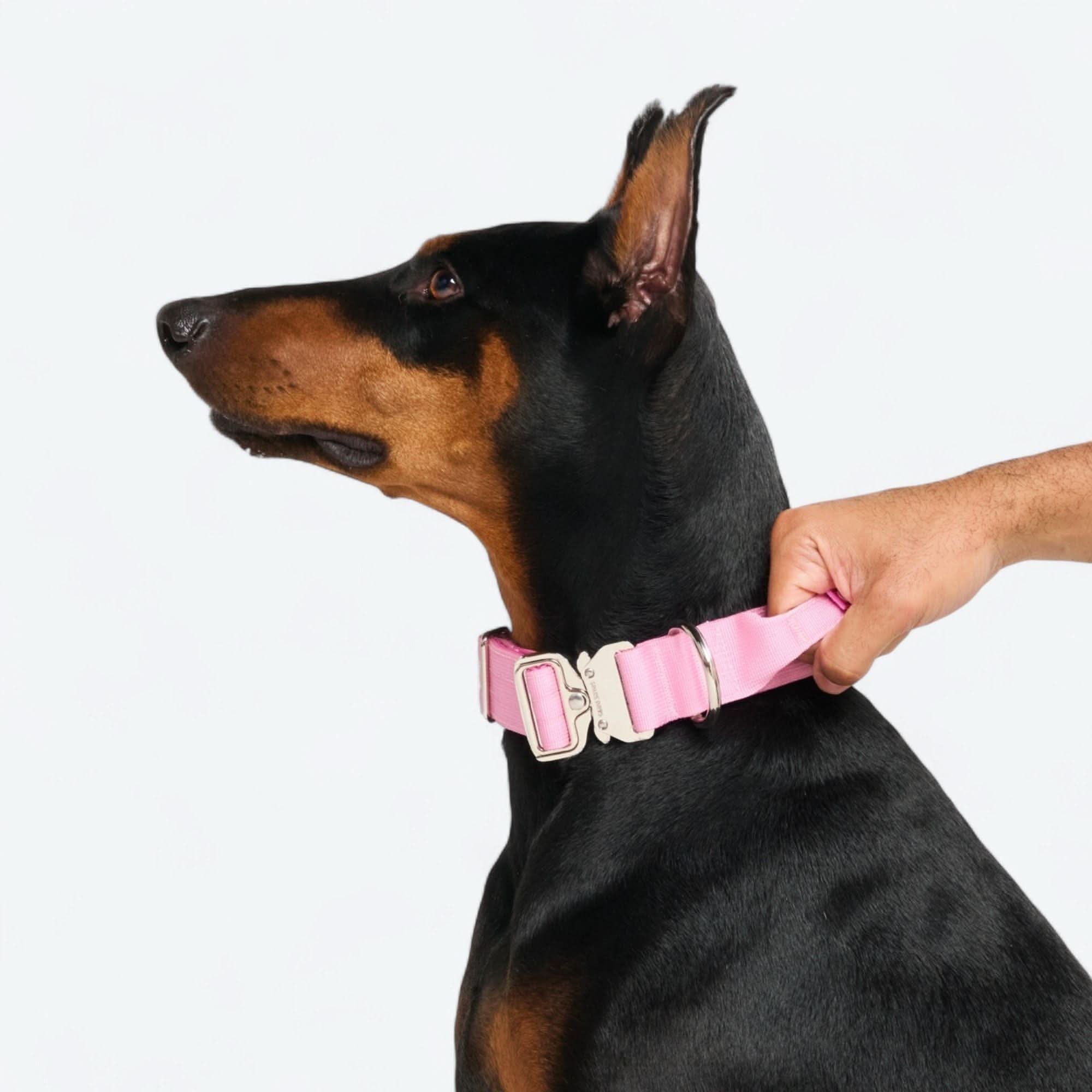 Comfort Control Dog Collars - Image 91