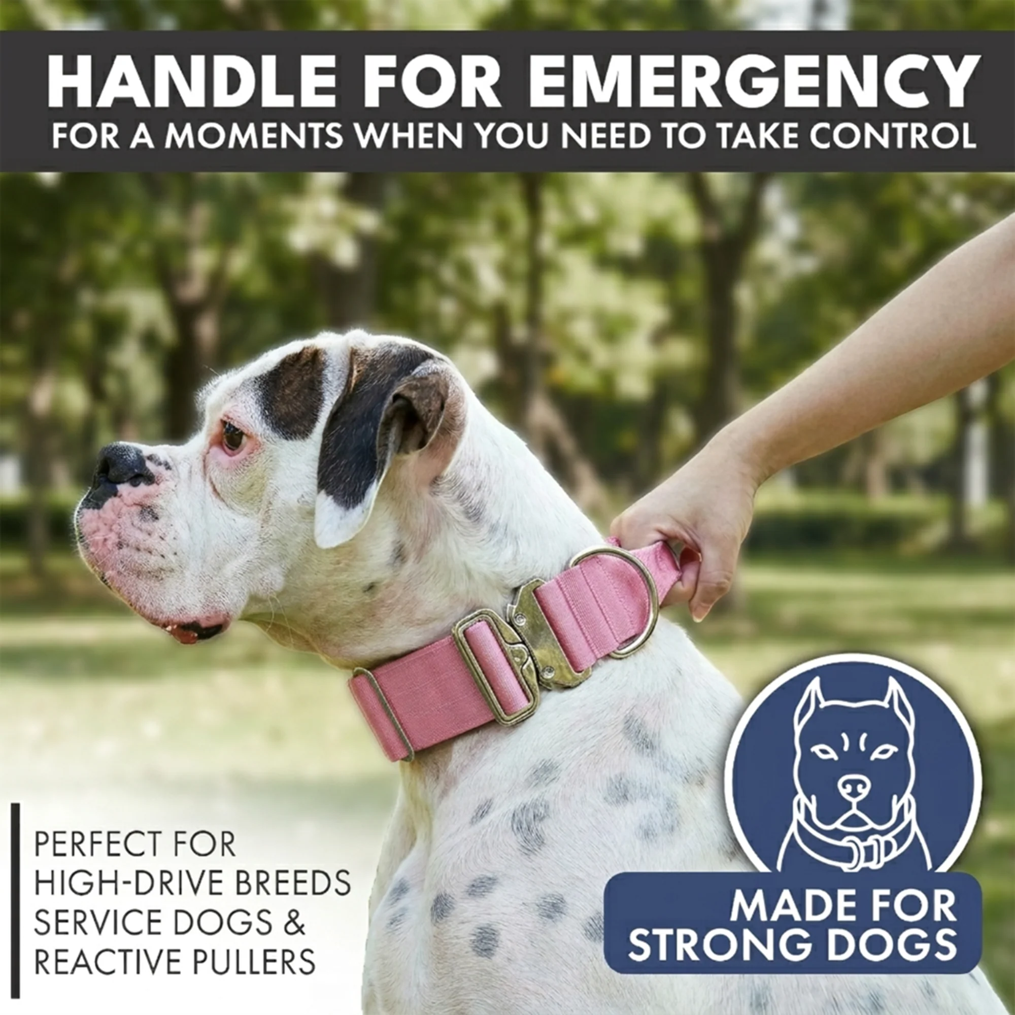 Comfort Control Dog Collar Sets - Image 58