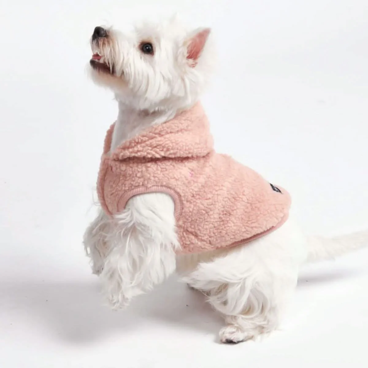 Teddy Sherpa Dog Jackets - Image 34