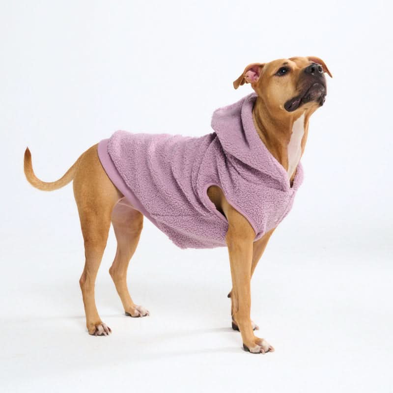 Teddy Sherpa Dog Jackets - Image 35