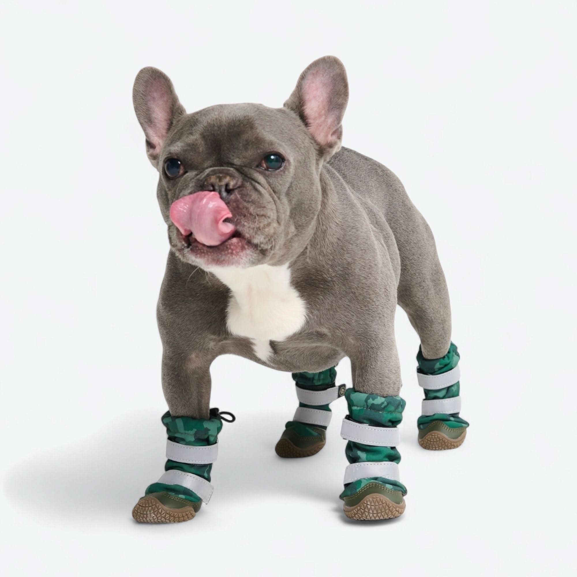 Dog Rainboots, Waterproof Dog Shoes - Image 45