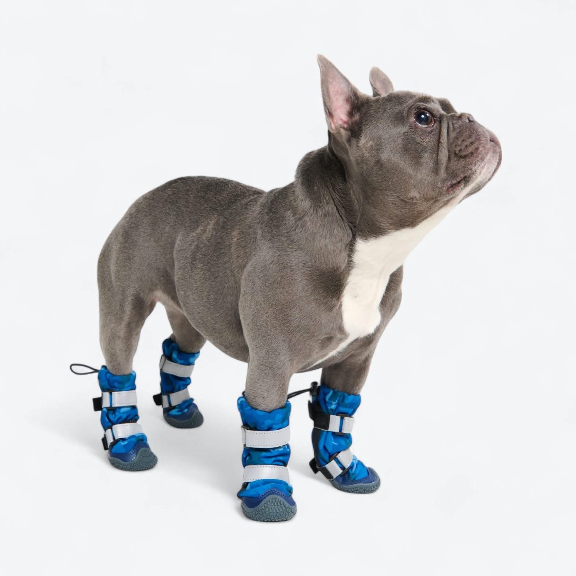 Dog Rainboots, Waterproof Dog Shoes - Image 28