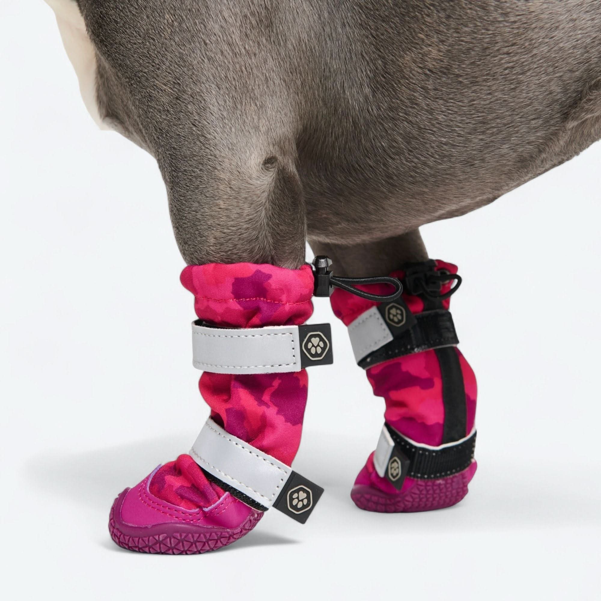 Dog Rainboots, Waterproof Dog Shoes - Image 62