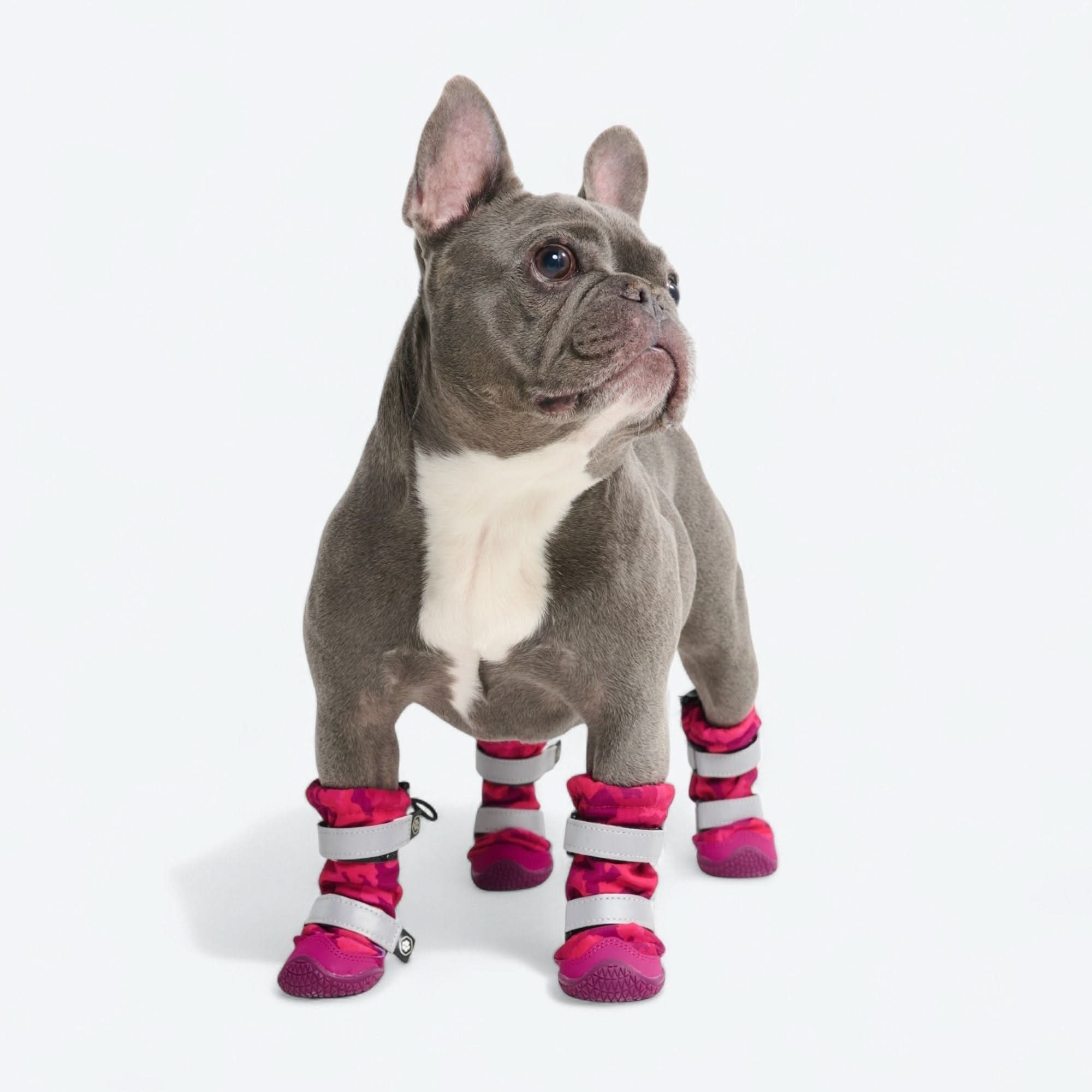 Dog Rainboots, Waterproof Dog Shoes - Image 60