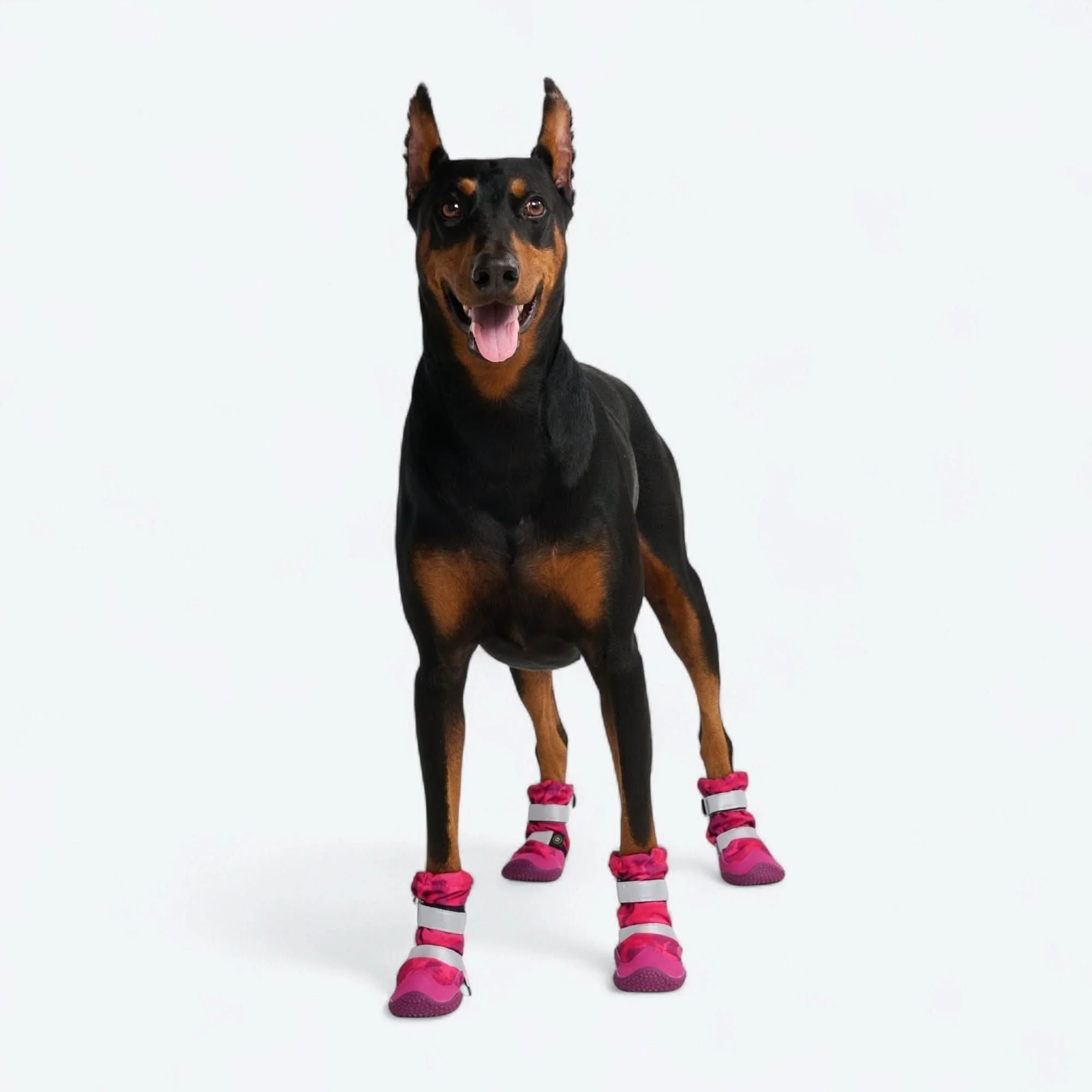 Dog Rainboots, Waterproof Dog Shoes - Image 63