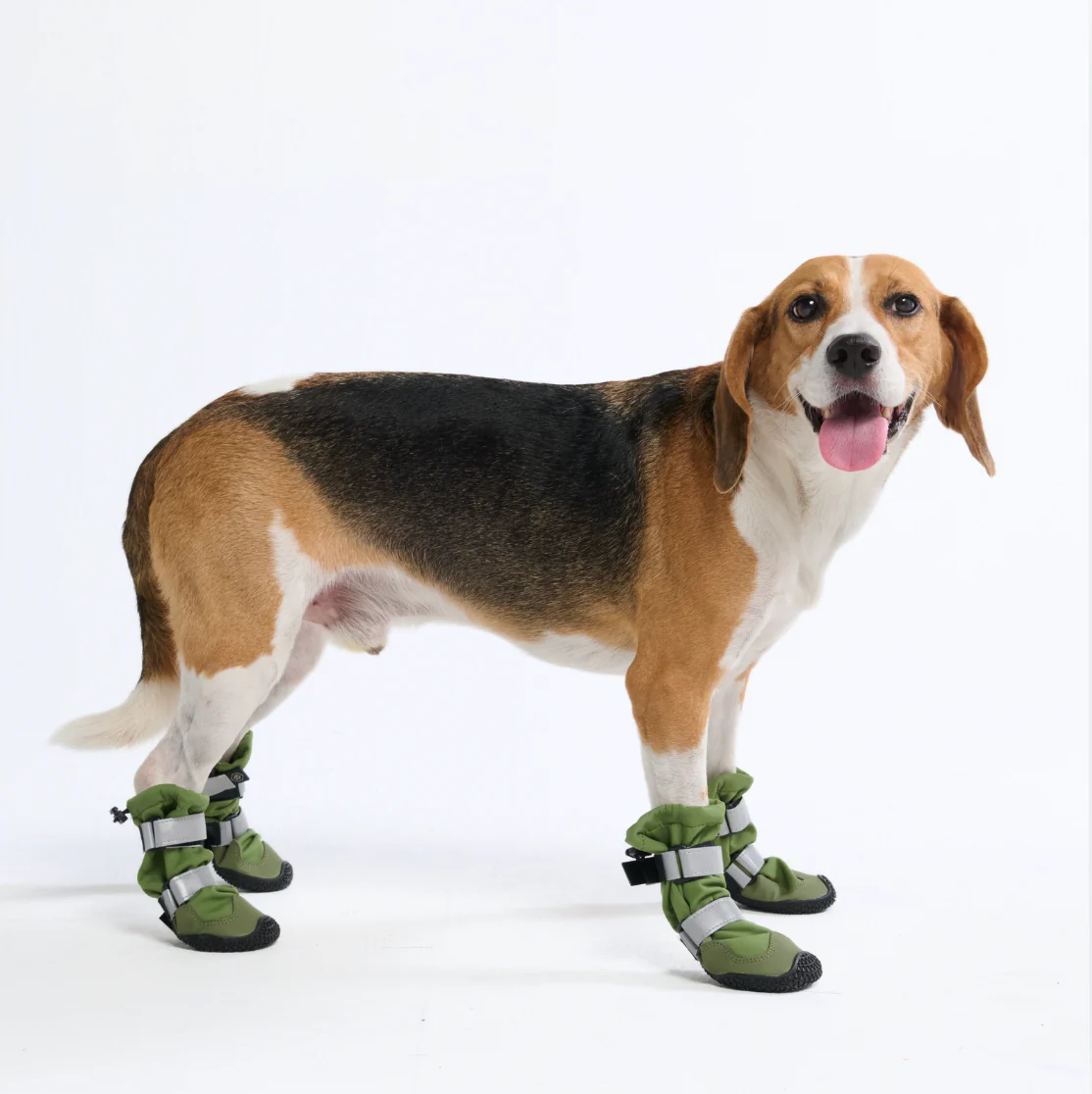 Dog Rainboots, Waterproof Dog Shoes - Image 10