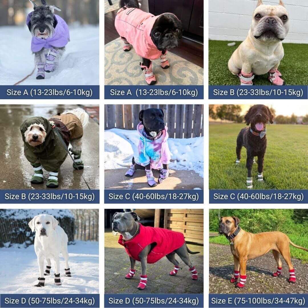 Dog Rainboots, Waterproof Dog Shoes - Image 3