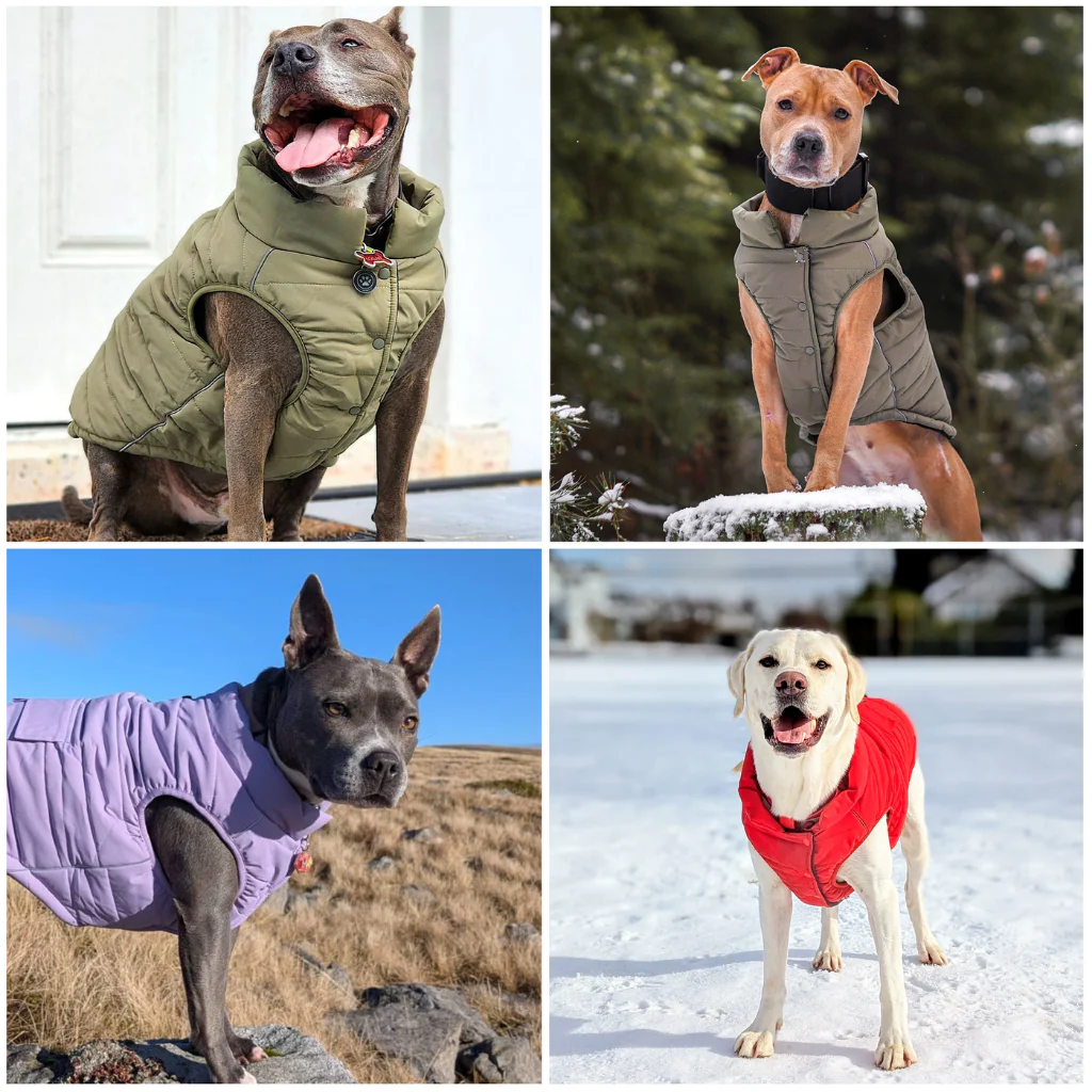 WarmShield Water-Resistant Jackets - Image 115