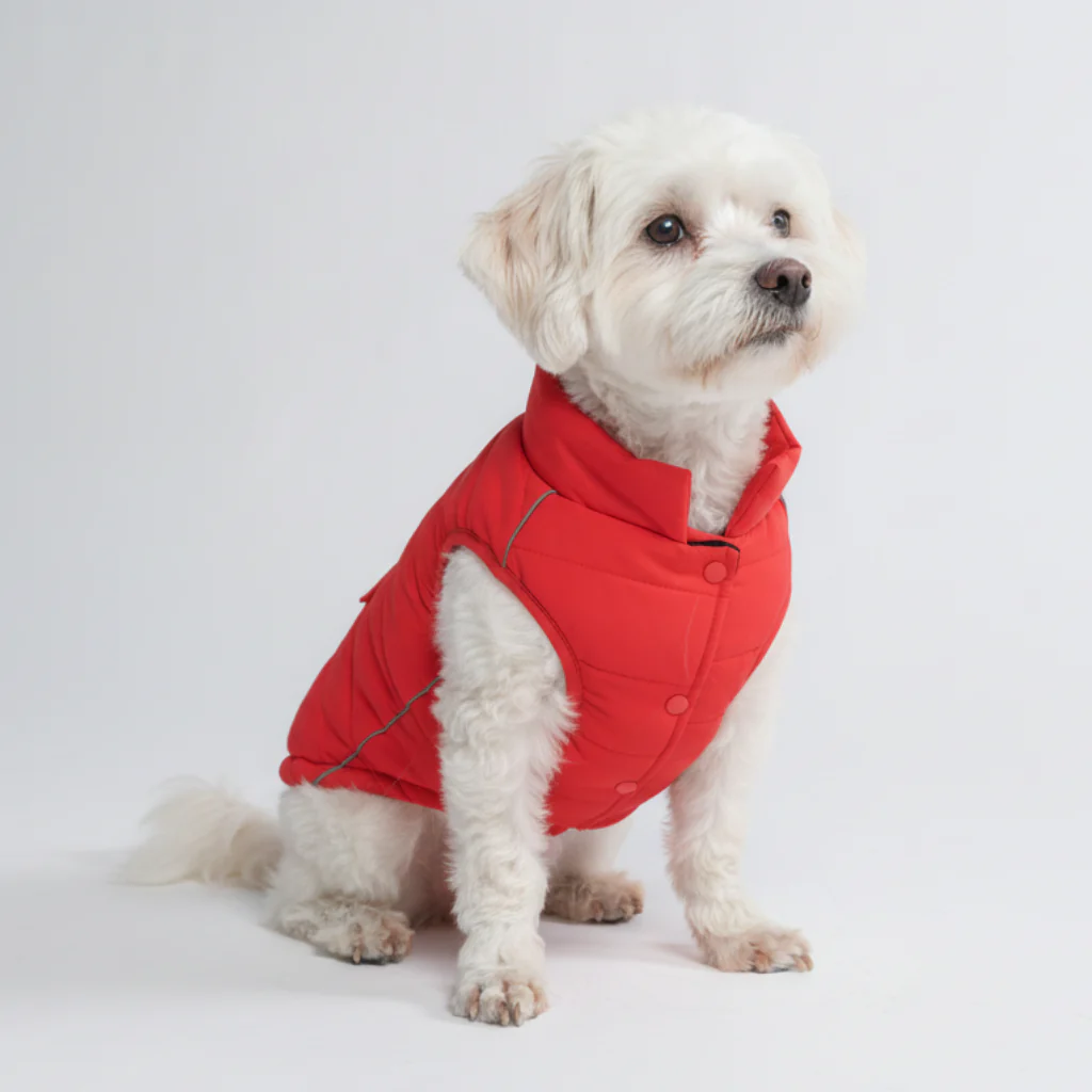 WarmShield Water-Resistant Jackets - Image 77